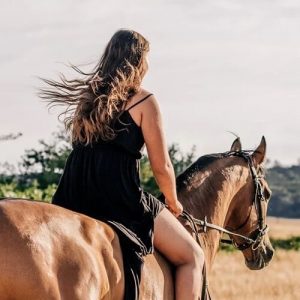 Pferdehaftpflicht-Versicherung